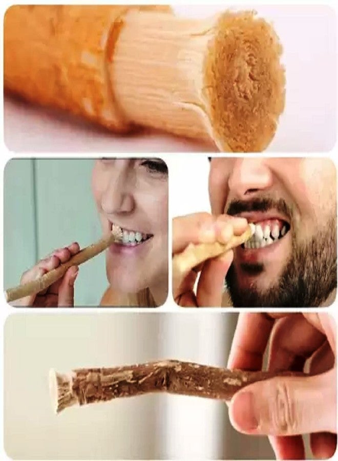 Nature Blaze Natural Traditional Miswak Peelu Chewing Stick Toothbrush for Whiter Teeth | Natural Oral Care | Herbal Miswak for Clean Teeth and Gums | Eco-Friendly, Non-Toxic, and Chemical-Free Toothbrush ( Pack of 5) - Image 2